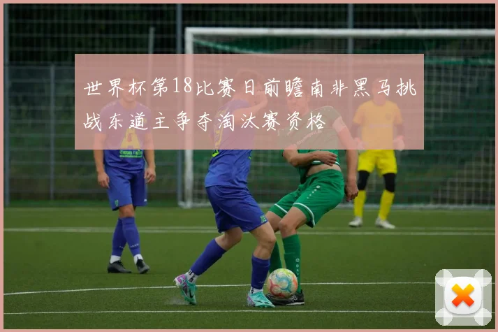 世界杯第18比赛日前瞻南非黑马挑战东道主争夺淘汰赛资格