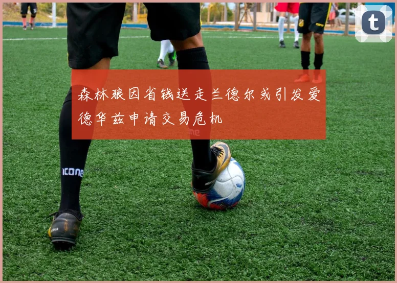 森林狼因省钱送走兰德尔或引发爱德华兹申请交易危机